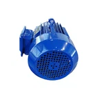 Ac Mekas Cage Induction Tsav